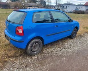 VW Polo Gebrauchtwagen