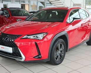 Lexus UX Gebrauchtwagen