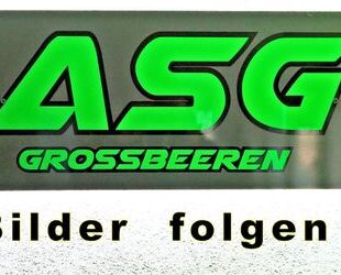 Kia Sorento Gebrauchtwagen
