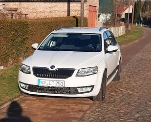 Skoda Octavia Gebrauchtwagen