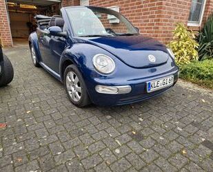 VW Beetle Gebrauchtwagen