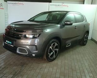 Citroen C5 Aircross Gebrauchtwagen