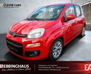 Fiat Panda Gebrauchtwagen