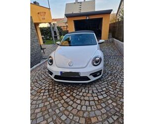 VW Beetle Gebrauchtwagen