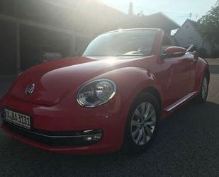 VW Beetle Gebrauchtwagen