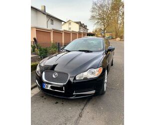 Jaguar XF Gebrauchtwagen