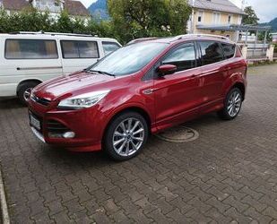 Ford Kuga Gebrauchtwagen