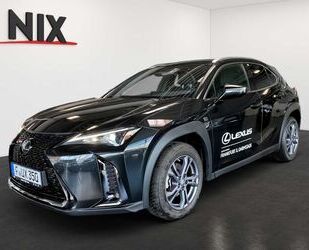 Lexus UX Gebrauchtwagen