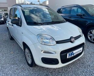 Fiat Panda Gebrauchtwagen