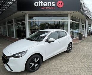 Mazda 2 Gebrauchtwagen