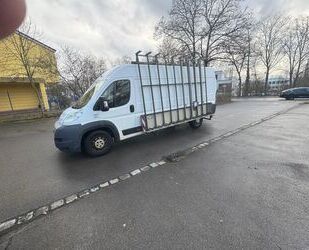 Fiat Ducato Gebrauchtwagen