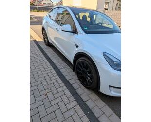 Tesla Model Y Gebrauchtwagen