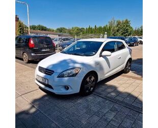Kia pro ceed / ProCeed Gebrauchtwagen