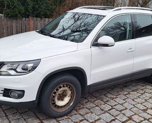 VW Tiguan Gebrauchtwagen