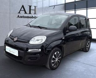 Fiat Panda Gebrauchtwagen