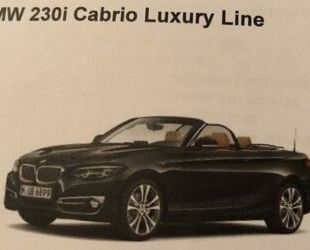BMW BMW 230i Steptronic Cabrio Luxury Line Luxury Line Gebrauchtwagen
