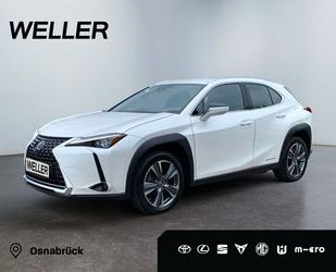 Lexus UX Gebrauchtwagen
