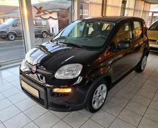 Fiat Panda Gebrauchtwagen