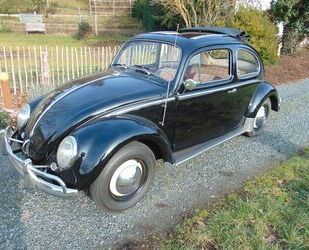 VW Käfer Gebrauchtwagen
