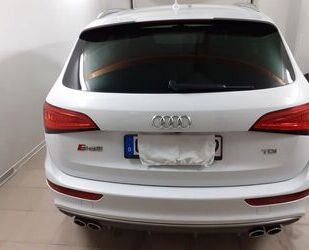 Audi SQ5 Gebrauchtwagen