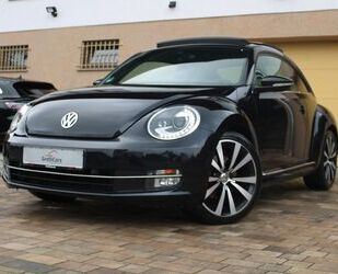 VW Beetle Gebrauchtwagen