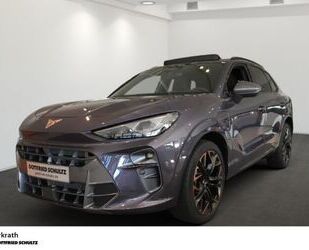 Cupra Terramar Gebrauchtwagen