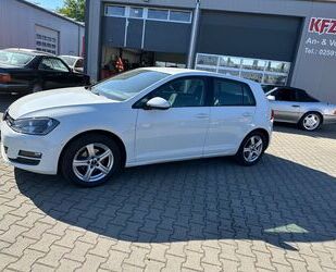 VW Golf Gebrauchtwagen