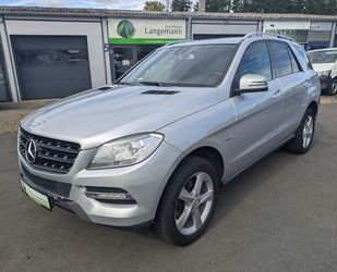 Mercedes-Benz ML 250 Gebrauchtwagen
