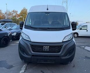 Fiat Ducato Gebrauchtwagen