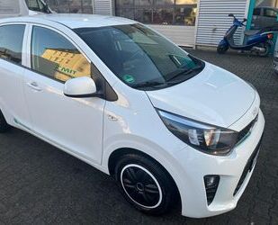 Kia Picanto Gebrauchtwagen
