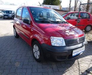 Fiat Panda Gebrauchtwagen