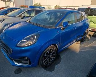 Ford Puma Gebrauchtwagen