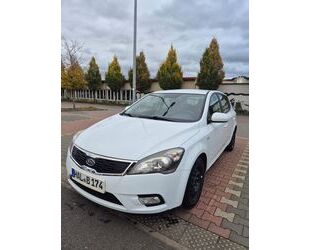 Kia ceed / Ceed Gebrauchtwagen