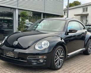 VW Beetle Gebrauchtwagen