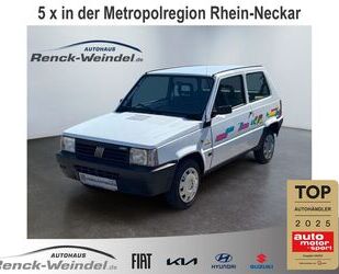Fiat Panda Gebrauchtwagen