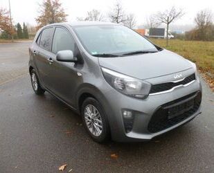 Kia Picanto Gebrauchtwagen
