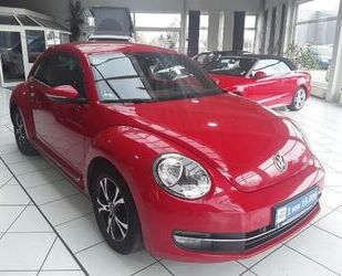 VW Beetle Gebrauchtwagen