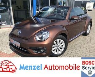 VW Beetle Gebrauchtwagen