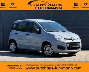 Fiat Panda Gebrauchtwagen
