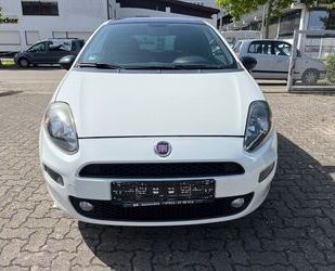 Fiat Punto Gebrauchtwagen