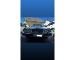 Jaguar XJ6 Gebrauchtwagen