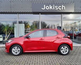 Mazda 2 Hybrid Gebrauchtwagen