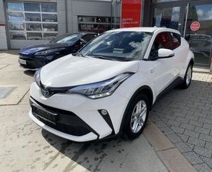 Toyota C-HR Gebrauchtwagen