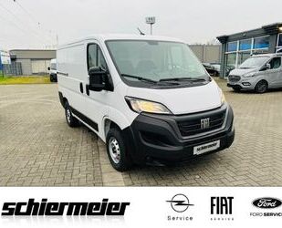 Fiat Ducato Gebrauchtwagen
