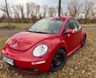 VW Beetle Gebrauchtwagen