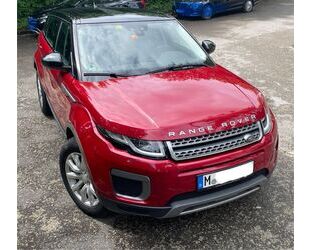Land Rover Range Rover Evoque Gebrauchtwagen