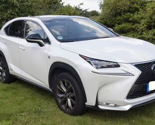 Lexus NX 350h Gebrauchtwagen
