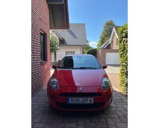 Fiat Punto Gebrauchtwagen