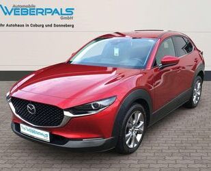 Mazda CX-30 Gebrauchtwagen