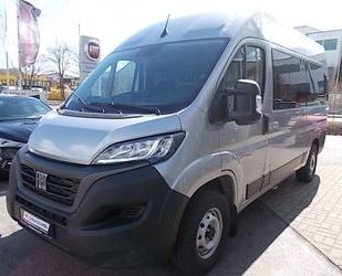 Fiat Ducato Gebrauchtwagen